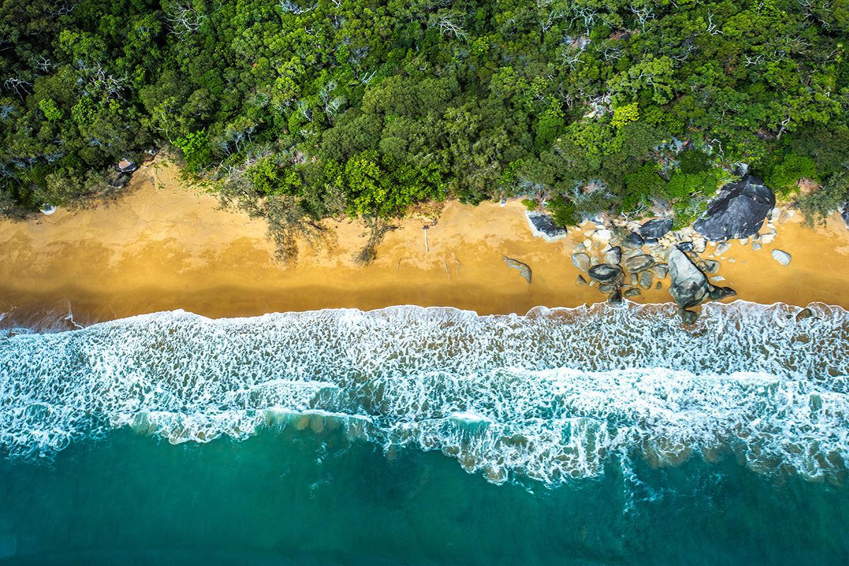 Australia Tours, Daintree