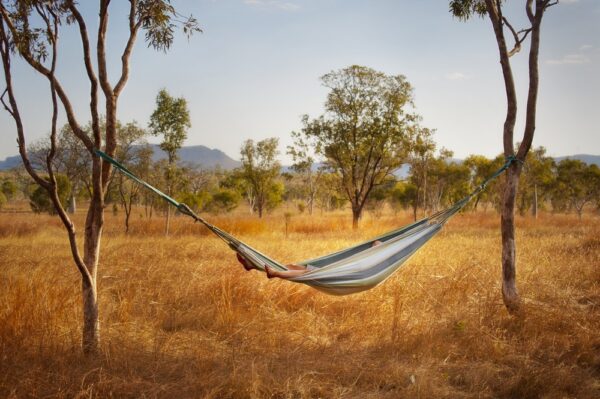 A person relaxes in a hammock suspended between two trees in a grassy field.