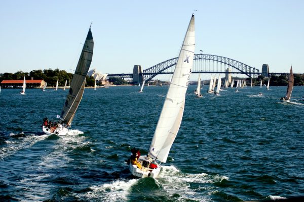 sailing_sydneyharbor Sailboats race in a harbor with the Sydney Harbour Bridge in the background.