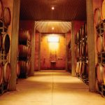 Australia Tours, Pipers Brook