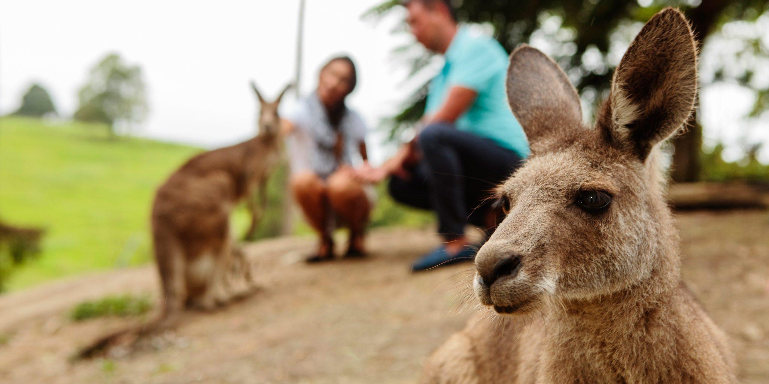 East Coast Australia Holidays