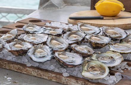 South Australia Expedition Cruising Packages