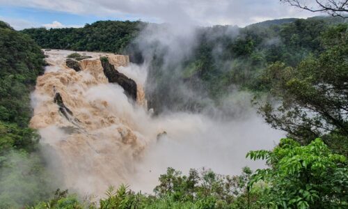 Private Kuranda Hinterland Tour