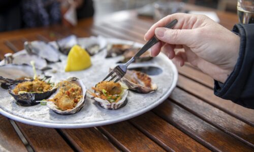 2019 Content Secondary Images - Tasmania GET SHUCKED
