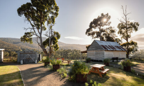 Bruny Island Cheese Bruny Island Cheese