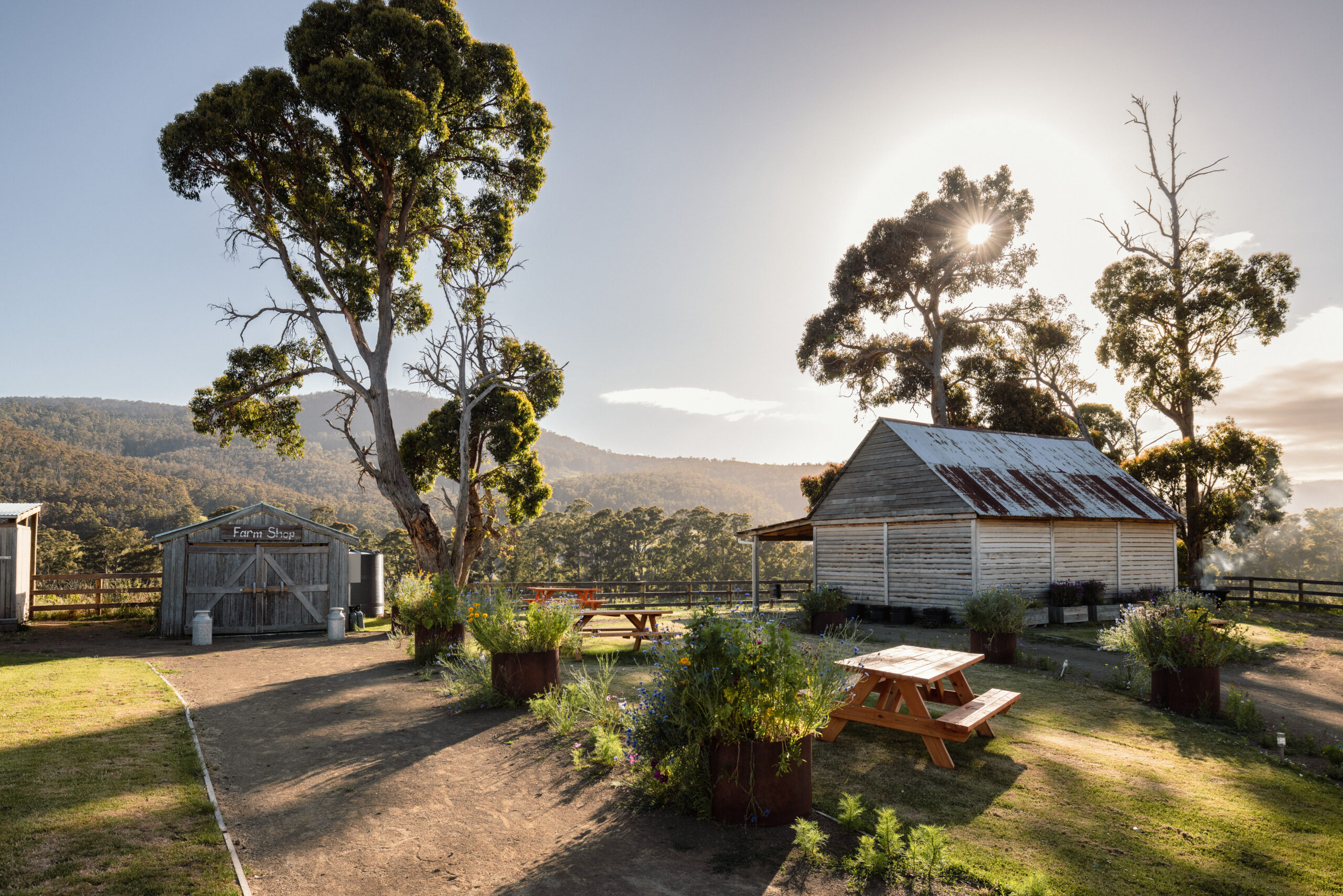 Bruny Island Tour | Australian Luxury Escapes