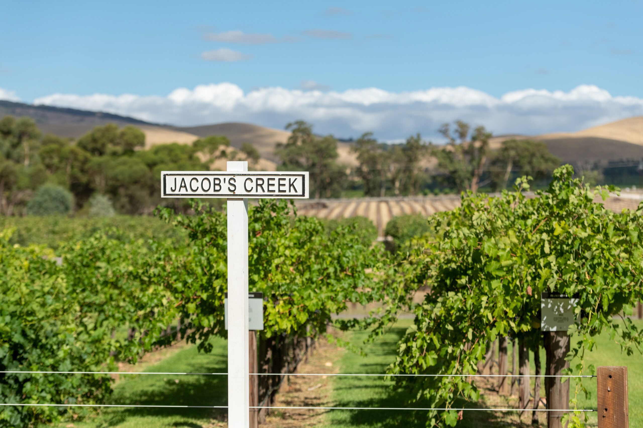 Private Barossa Valley Tour | Australian Luxury Escapes