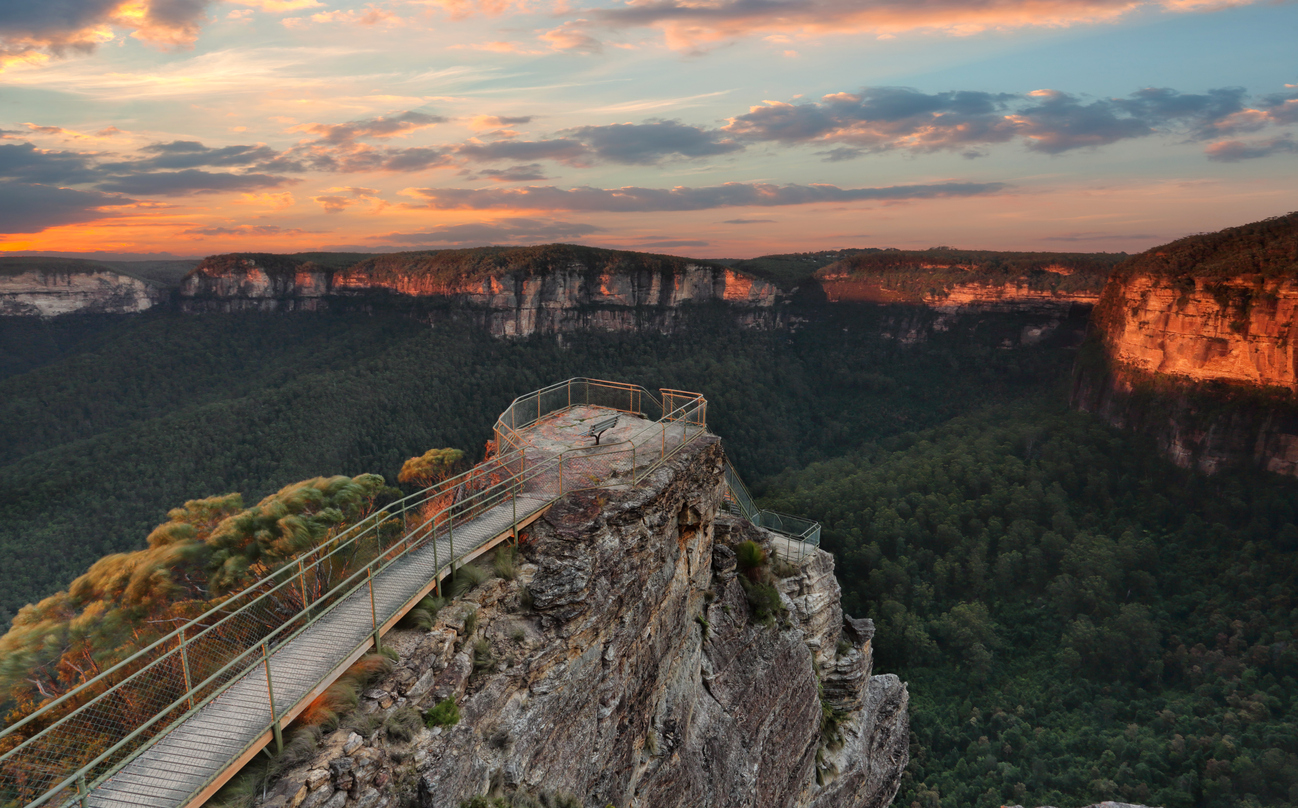 Private Blue Mountains High Country Eco Tour