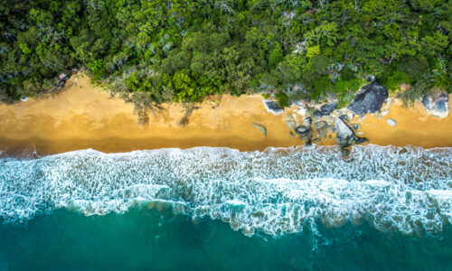 Daintree 2 Private Daintree Wanderer Tour