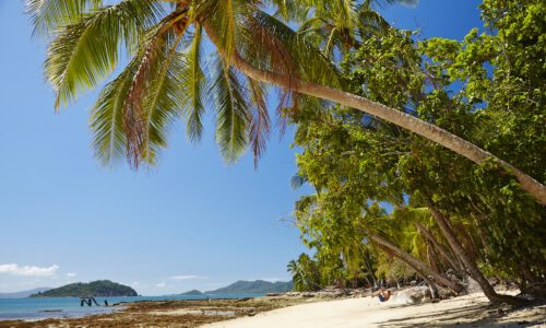 Daintree Tour Daintree Tour