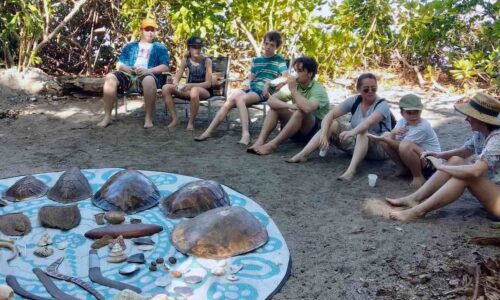 KYCHT_groupshells-landscape Private Unique Indigenous Experience within the Daintree Rainforest