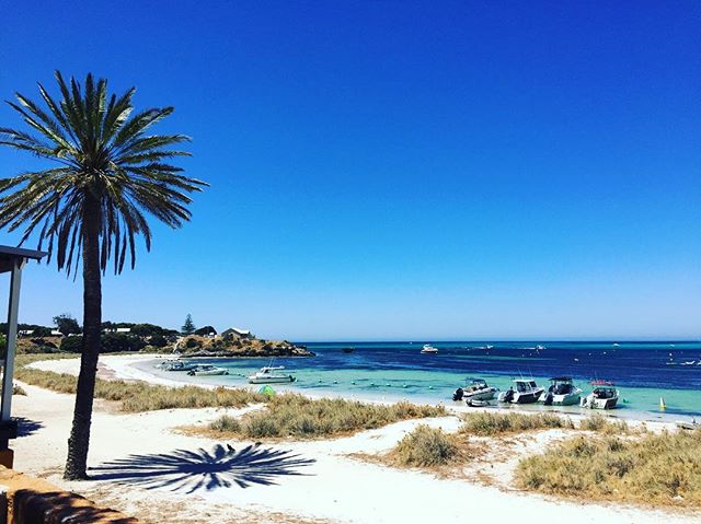 Private Perth and Rottnest Island Tour