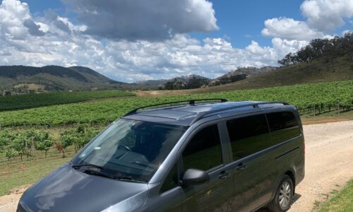 V Class Private Historic Hunter Valley Vintage Tour