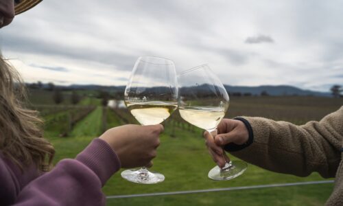 Private Yarra Valley Wine Tour | Yarra Valley Packages
