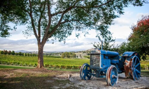 Private Yarra Valley Wine Tour | Australian Luxury Escapes