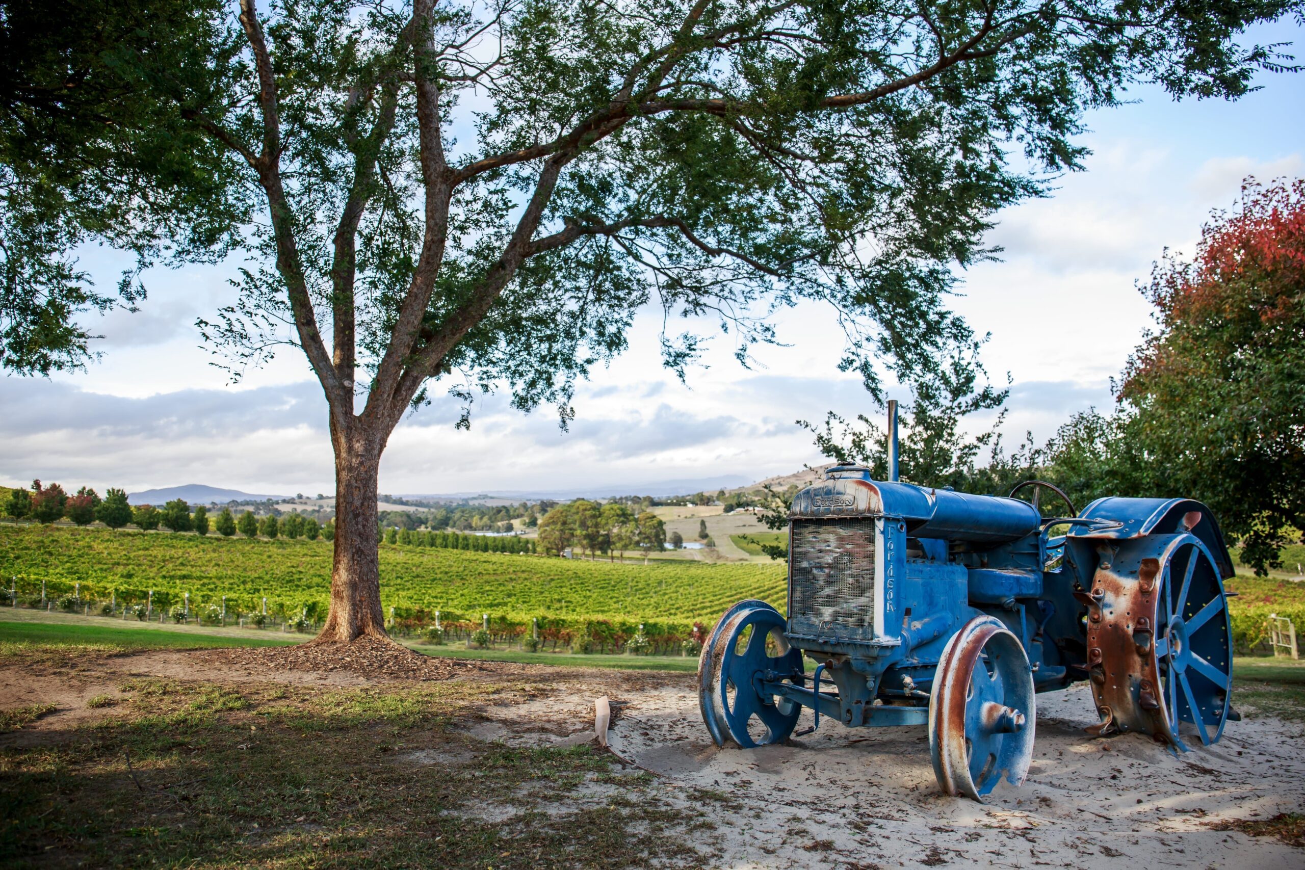 Private Yarra Valley Wine Tour | Australian Luxury Escapes