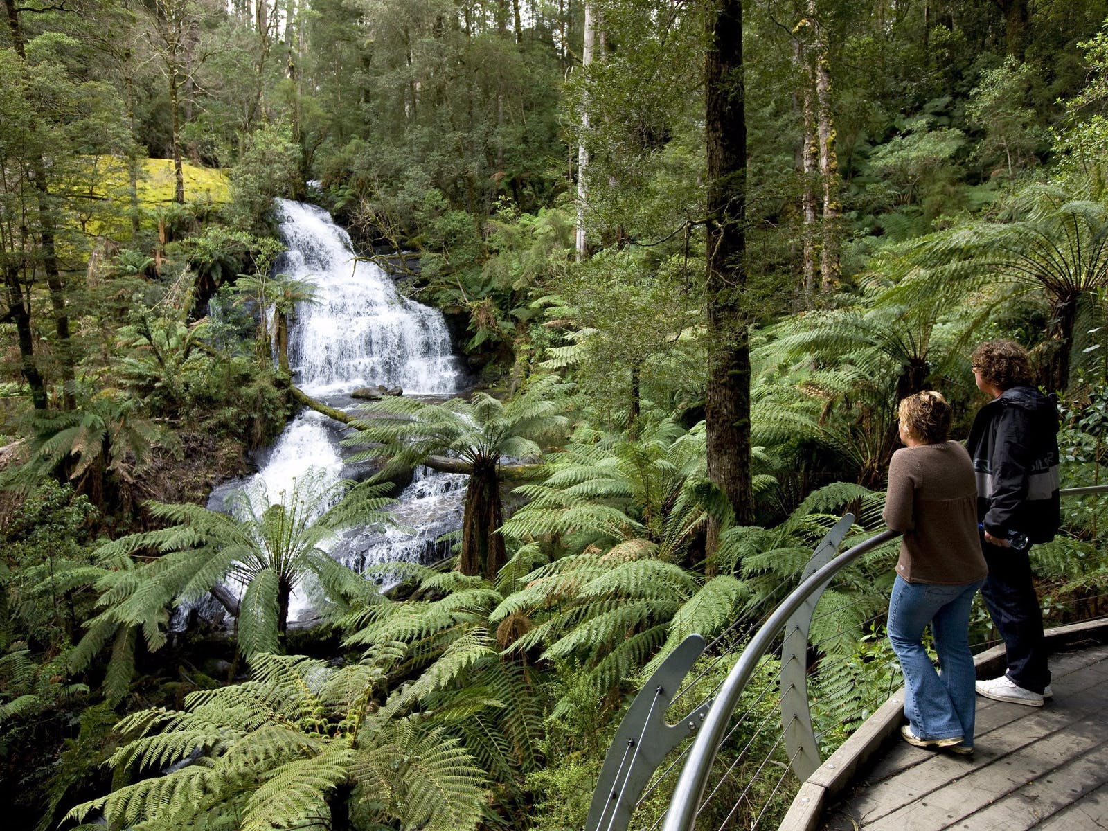 Private Shipwrecks and Wild Cliff Tops – Great Ocean Road Tours