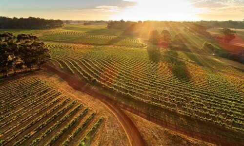 western-australia-leeuwin-estate-margaret-river-135581-2 Margaret River Travel Packages