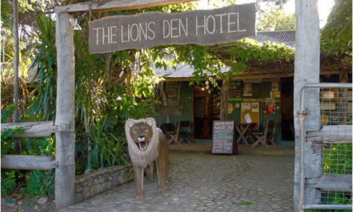 Lions Den Hotel Cape York Travel Package | 9 Day Cape York Drive/Fly Adventure
