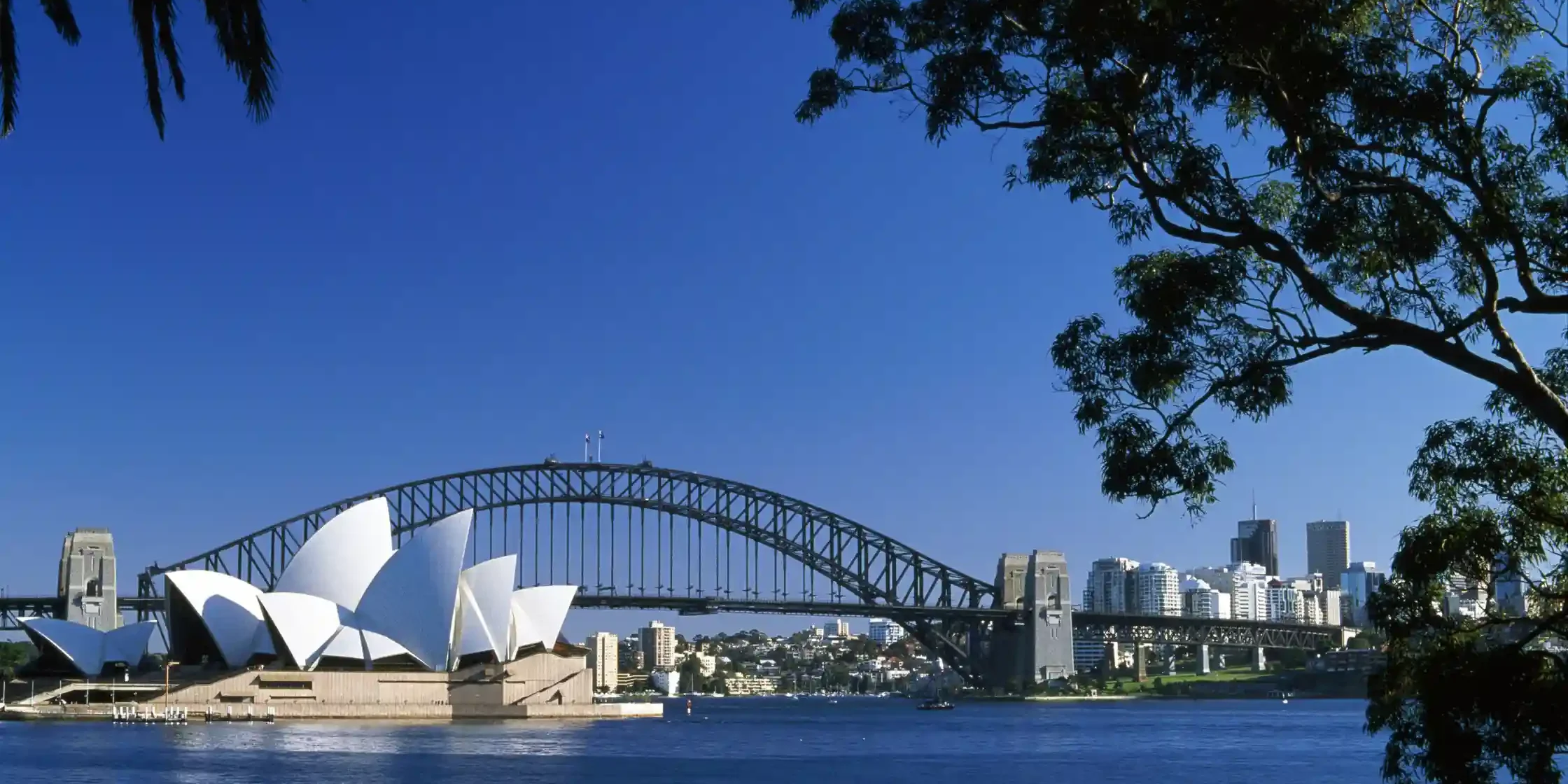 Fun in Sydney Fun things to do in Sydney