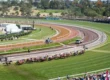 Melbourne Cup