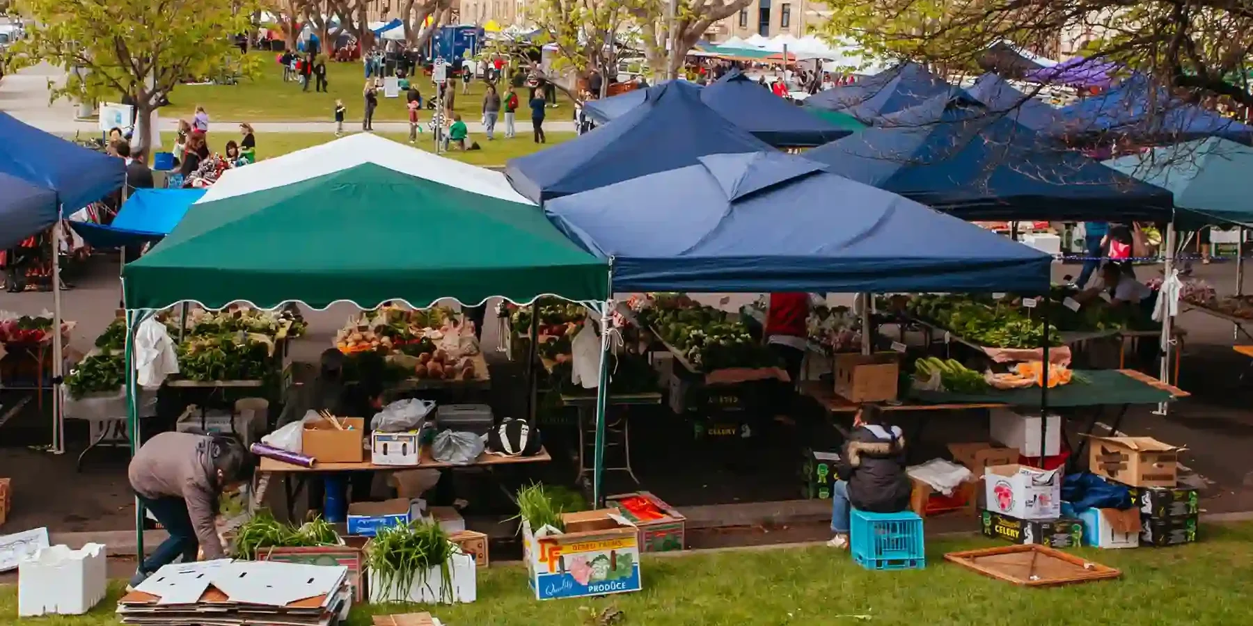 Salamanca Market Salamanca Market: Tasmania Road Trip