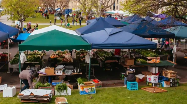 Salamanca Market Salamanca Market: Tasmania Road Trip