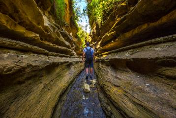 A hiker walks through a narrow, golden sandstone gorge with a small stream.