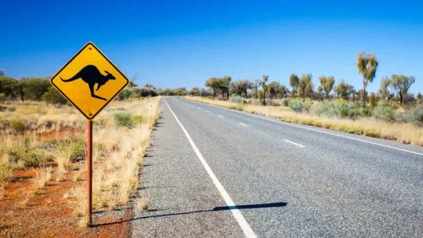 Australia’s Unique Wildlife