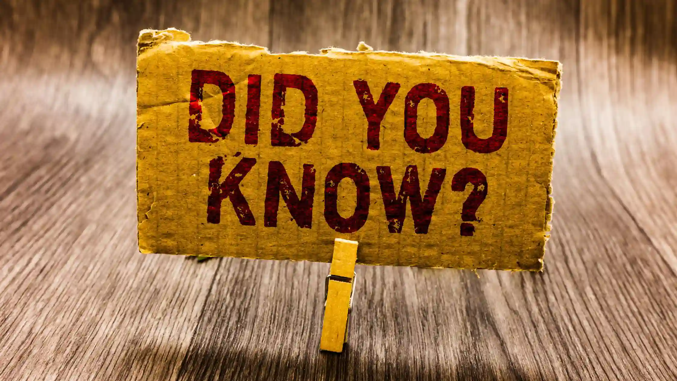 Fun Facts About Australia