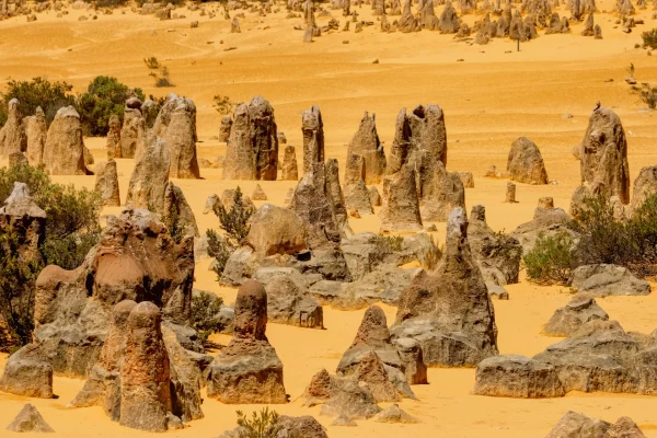 Unearthing the Wonders of The Pinnacles Desert