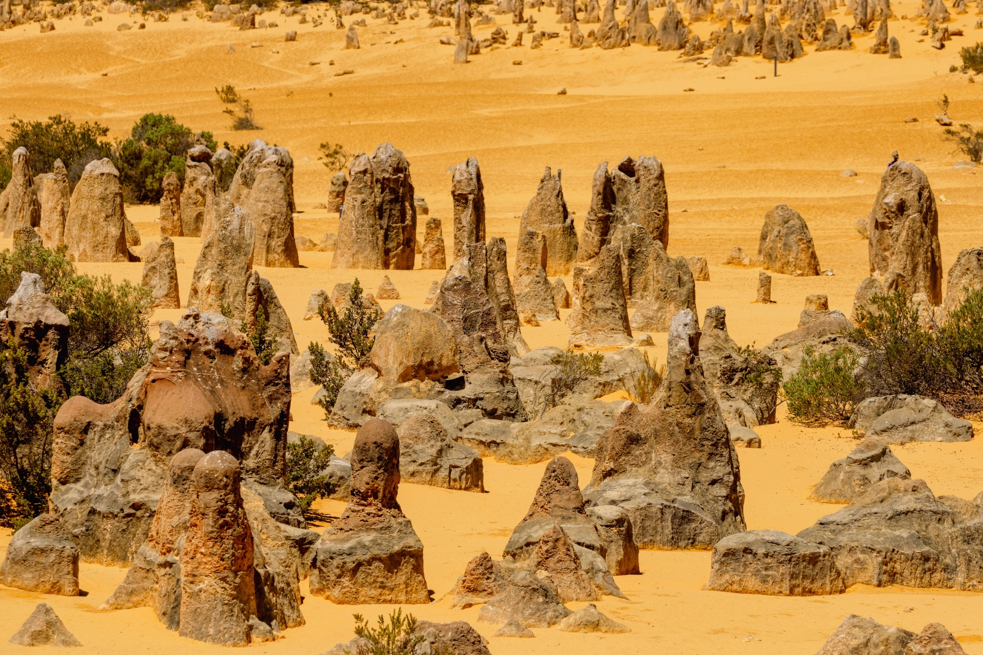 Unearthing the Wonders of The Pinnacles Desert